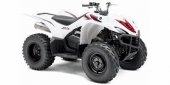 2010 Yamaha Wolverine 450 Auto 4x4 photo
